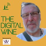 Intervista ad Andrei Rusu, founder di CuboSoftware, una startup del WineTech