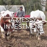A Messy Investment - Morning Manna #2937