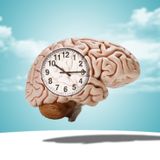 Brain Age Test: cos’è, come funziona e perché può essere utile scoprire la vera età del tuo cervello