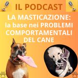 17_La masticazione: la base nei comportamentali del cane