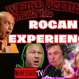 #229 Is The Rogan Experience The New Laurel Canyon 2.0 ? | Steve Poikonen #Rogan #USAID
