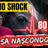 # 169 -  Faccia da poker  - quello che il cavallo non ci dice