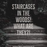 50: Staircases In The Woods! What Are They?!