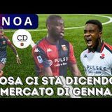 GENOA, cosa ci sta dicendo il MERCATO di GENNAIO: il rendimento di chi è arrivato o è partito nell'ultima sessione