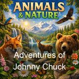 Adventures of Johnny Chuck - Thornton W Burgess