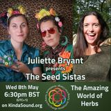 The Amazing World of Herbs | The Seed Sistas on Transformative Health with Juliette Bryant