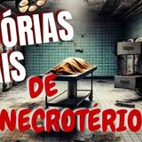 Morgues_ O Lugar Onde o Silêncio é um Mito