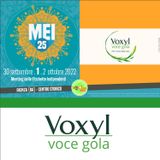 Voxyl Voce Gola al "MEI" 2022 di Faenza