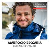 Ambrogio Beccaria: l’oceano selvaggio