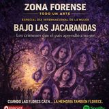 Bajo las Jacarandas - Especial Dia Internacional de la Mujer