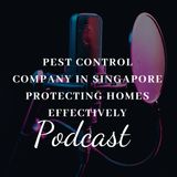 Pest Control Company in Singapore Protecting Homes Effectively
