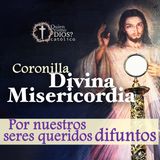Coronilla de la Misericordia: 🕯️✝️ Reza por las almas de tus seres queridos