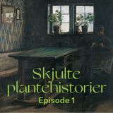 Planternes rejse til vores vindueskarme. Skjulte Plantehistorier, episode et