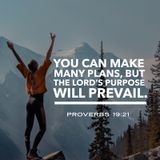 Know God's Purpose and Plan for Your Life Will Always Prevail