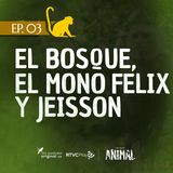 Capítulo 3: El bosque, el mono, Felix y Jeisson