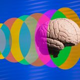 “La misura dell’intelligenza è la capacità di cambiare”: la lezione di Einstein che vale ancora oggi