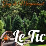 Le Tic, Guy de Maupassant (Livre audio)