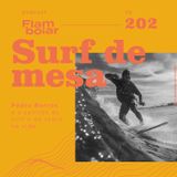 202 - Pedro Barros e o sentido do surf e do skate na vida