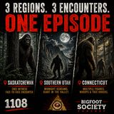 Cree Elder Sasquatch Face-Off, Utah Midnight Giant & Connecticut Pack Encounter!