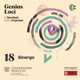 18. Genius Loci - Sinergo