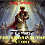 The Sword in the Stone 🧙‍♂️👑⚔ | The Once and Future King, King Arthur 1 by T. H.| Medieval Fantasy Chivalry 8
