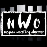 WWE SummerSlam Predictions - Niagara Wrestling Observer - Episode #3