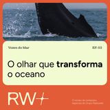 Vozes do Mar: fotógrafo relata encontro transformador com baleia