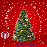 Capriole dell'Avvento - 13 dicembre 2024