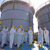 Fukushima Radiation Has Contaminated The Entire Pacific Ocean Six Years after the Disaster