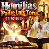 Homilía del _22_-07-2015 - Padre Luis Toro