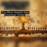 After Death, Your Soul Chooses 3 People Before Your Next Life