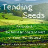 Ep 8 - The Most Important Part of Your Homestead