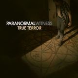 Paranormal Witness: Ovni en Trumbull #documental #podcast #misterio #extraterrestres