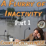 A Flurry of Inactivity (Part 1 of 2)