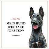 Mein Hund wird alt – was tun? – #16