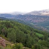 Così il suolo impatta sui microbi nelle foreste soggette a degrado