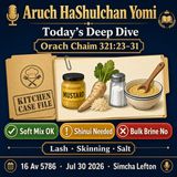 Aruch HaShulchan Yomi — OC 321:23–31 | Soft Mix, Hard Craft