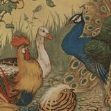 De Pauw | Aesopus Fabels