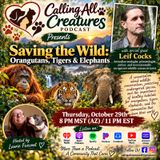 Saving the Wild: Orangutans, Tigers & Elephants