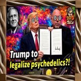 Trump and Rogan Want Ibogaine