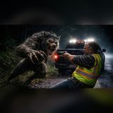 Dogman in the Ozarks… One Camper Barely Escaped at Midnight