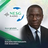 Building Partnerships For Resilience - Asue Ighodalo