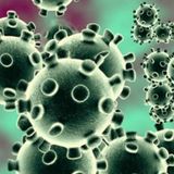 Reportan cerca de 250 mil decesos por coronavirus en el mundo