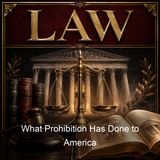 What Prohibition Has Done to America - Fabian Franklin