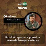 China encerra embargo e autoriza entrada da carne brasileira no país
