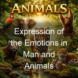 Expression of the Emotions in Man and Animals - Charles Darwin - Part 2