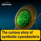 The curious story of symbiotic cyanobacteria