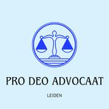 De ethiek en verantwoordelijkheid van pro deo advocaten.