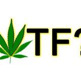 WTF? (Where's The Focus?) w/Kevin A. Phillips-Celebrating Every Day as a HOLIday