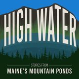 BONUS: Trout Spawning at Mountain Pond